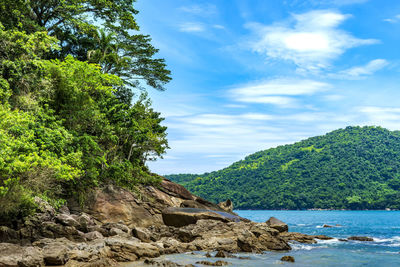 Beach surrounded by forests and mountains in trindade, district of paraty, on rio de janeiro