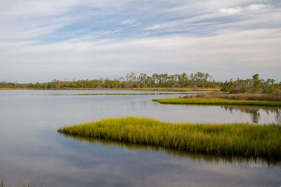 Scenic view of marsh against sky croatan national forest, outer banks, north carolina 