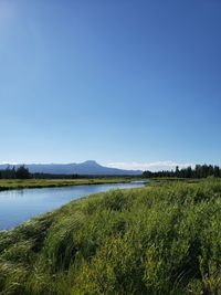 Scenic view of lake against clear blue sky