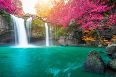 Scenic view of waterfall