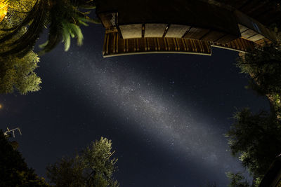 Low angle view of trees against sky