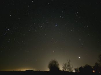 Low angle view of trees against sky at night