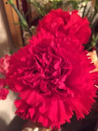 Close-up of red flower blooming outdoors