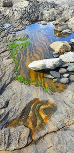 High angle view of stones in lake