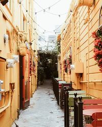 Narrow alley with buildings in background