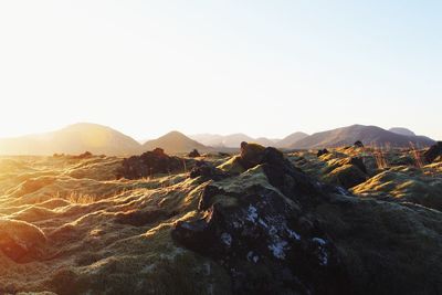 Scenic view of landscape against clear sky