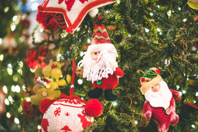 Close-up of christmas tree