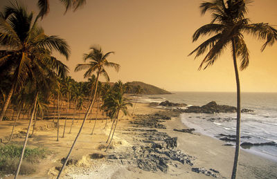 Palm trees on beach against sky during sunset