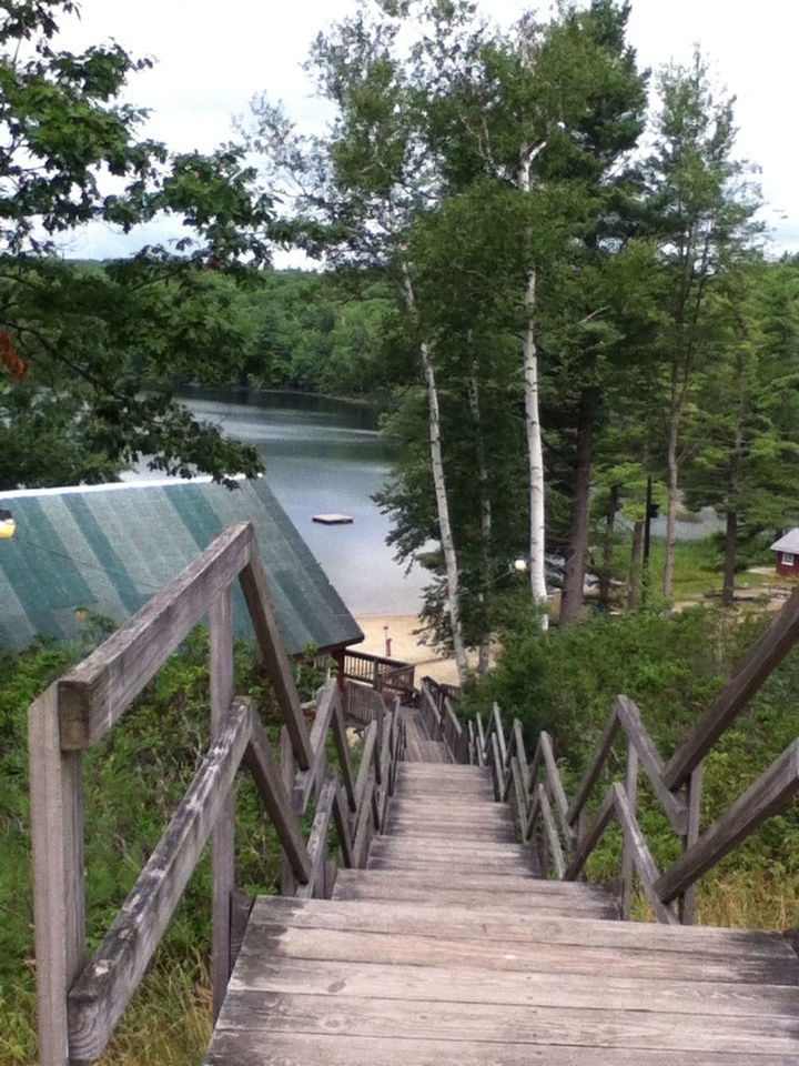 BOARDWALK AGAINST TREES