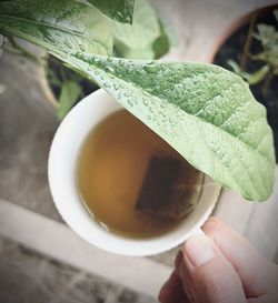 Close-up of hand holding drink