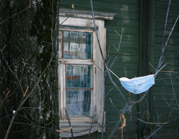 Abandoned used medicine mask tied to tree branches