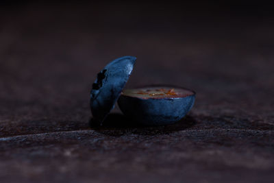 Close-up of snake