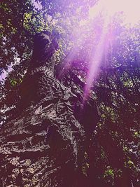 Low angle view of trees