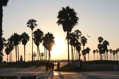 Silhouette people walking on palm trees by sea against clear sky