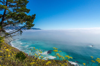 Scenic view of sea against clear sky