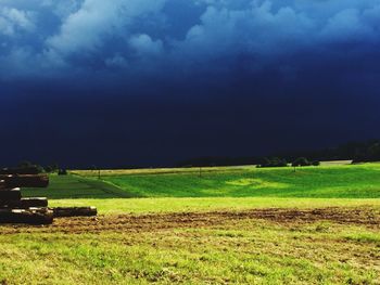 Scenic view of agricultural field against sky