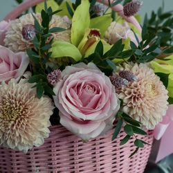 High angle view of pink roses on plant