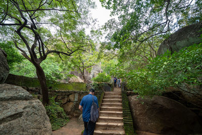 Rear view of people walking on staircase in forest
