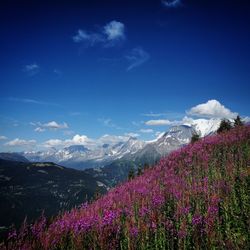 Scenic view of mountains against blue sky