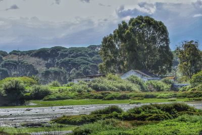 Scenic view of landscape against sky