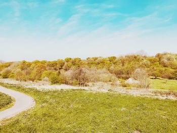 Scenic view of field against sky