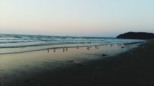 Scenic view of sea against clear sky
