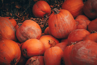 Full frame shot of pumpkins