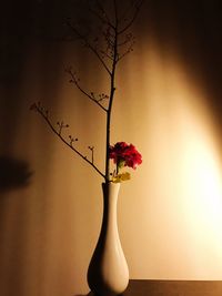 Close-up of rose flower vase on table