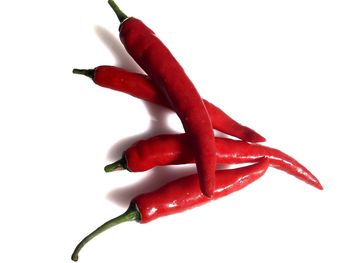 Close-up of red chili peppers against white background