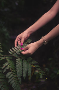 Cropped hands of woman touching leaves