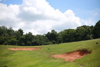 Scenic view of field against sky