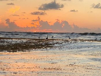 Scenic view of beach against sky during sunset