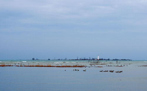 Sailboats on sea against sky