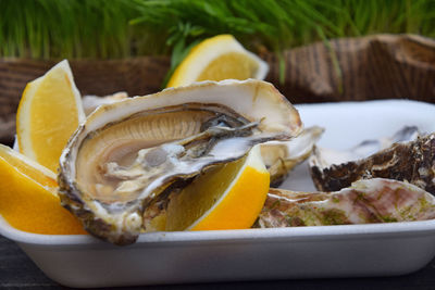 Close-up of oysters and lemons in bowl