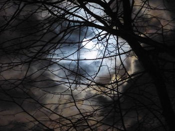 Low angle view of bare trees against sky