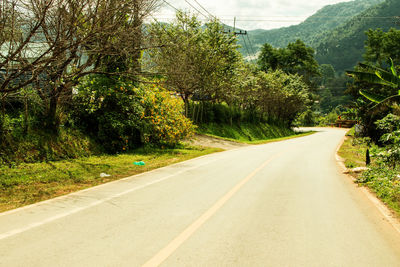 Empty road along trees