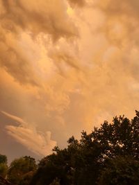 Low angle view of tree against dramatic sky