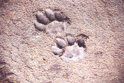 High angle view of snow on sand