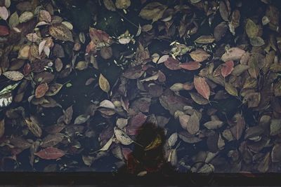 Full frame shot of white background