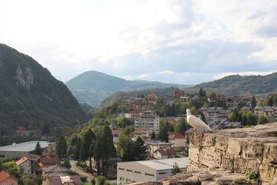 Peace pigeon over jajce