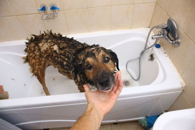 Man with dog in bathroom