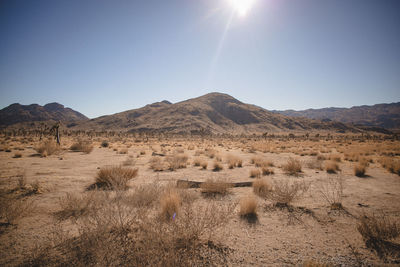 Scenic view of desert against clear sky