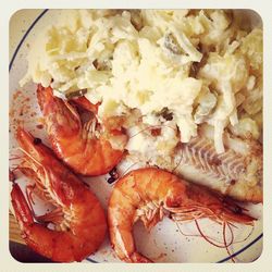 Close-up of served food