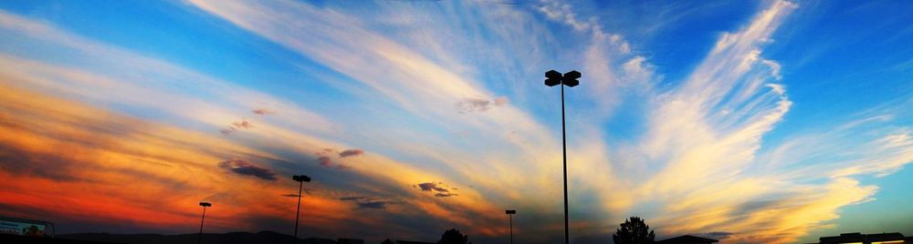 Low angle view of bird flying in sky