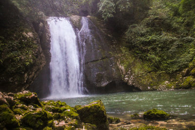 Scenic view of waterfall in forest