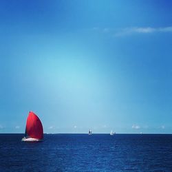 Sailboat sailing in sea against clear blue sky