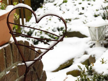Close-up of snow covered branches