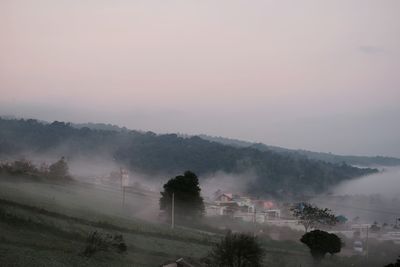 Trees on landscape against sky during foggy weather