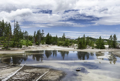 Scenic view of lake by trees against sky