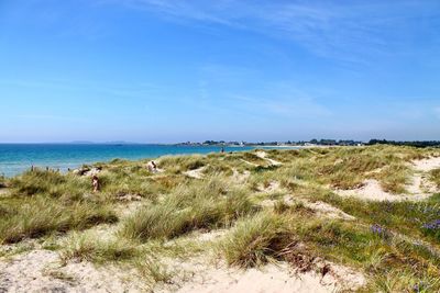 Scenic view of beach against blue sky